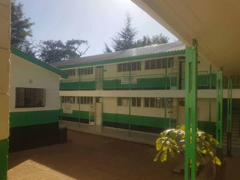 TTI at the official opening of Waithaka Vocational Training Center as a center of excellence.